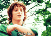 Frodo, arms folded, captioned “You’re late.”